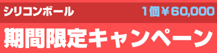 シリコンボールで更にパワーアップ