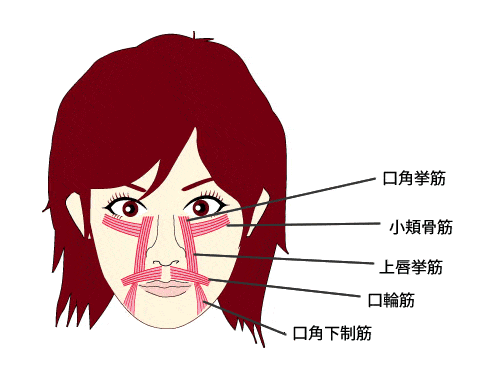 口の整形 大宮中央クリニック